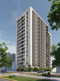 Olive - Enacorp